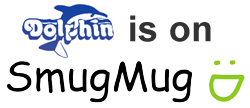 dolphinon-smugmug.gif