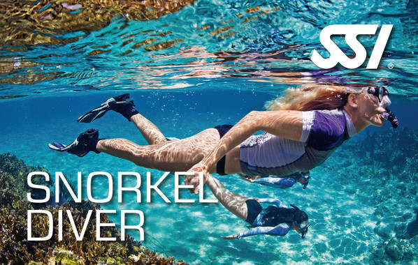SSI Snorkeling Digital Kit